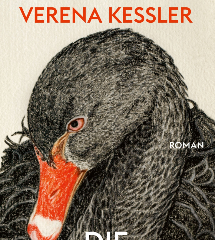 Buchcover "Die Gespenster von Demmin"