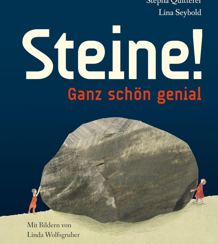 Buchcover Steine ganz schön genial