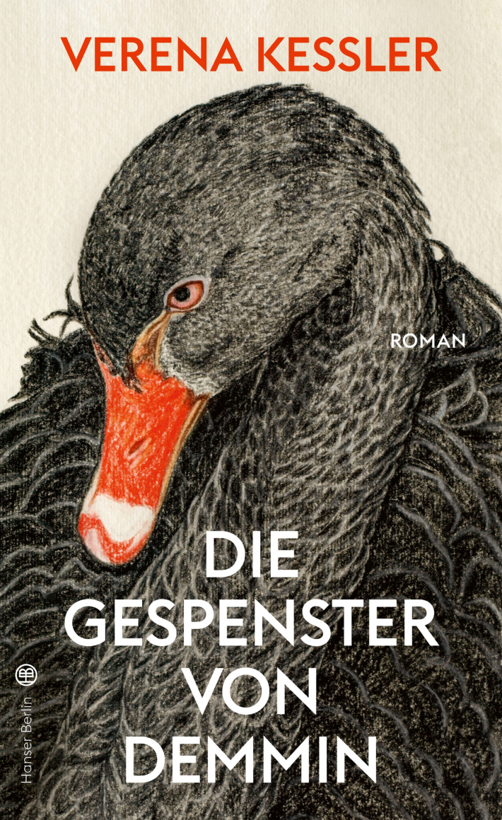 Buchcover "Die Gespenster von Demmin"