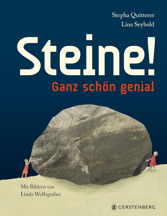 Buchcover Steine ganz schön genial
